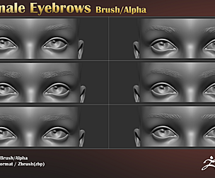 Female Eyebrows Brush & Alpha