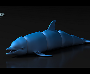 Articulated Dolphin