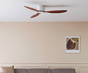 ceiling fan lighting
