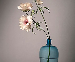 White flower 2