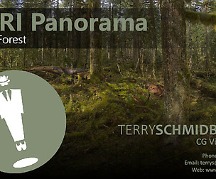 HDRI Panorama - Mossy Forest