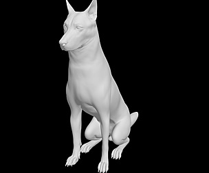 Wolf dog model
