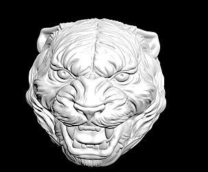 Tiger head