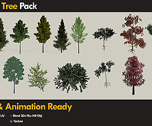 10 + 5 Tree