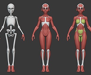 Stylized Female Anatomy