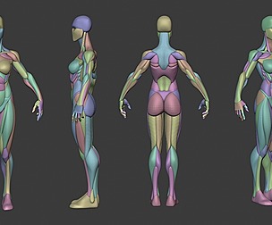 Stylized Female Anatomy Blockout V2