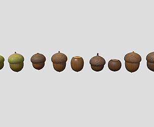 acorn