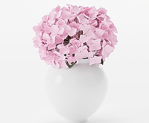 Hydrangea bouquet