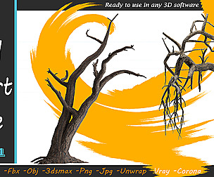 10 Dried desert tree Vol 01