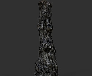 KIRI Engine Demo Scan