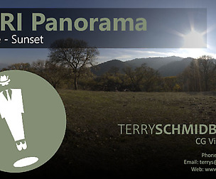 HDRI Panorama - Treeline Sunset