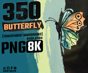 350 butterfly