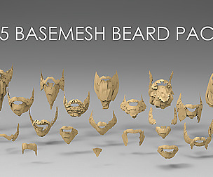 25 basemesh beard collection
