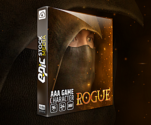 AAA Game Character Rogue