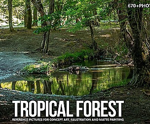670+ Tropical Forest Reference Pictures