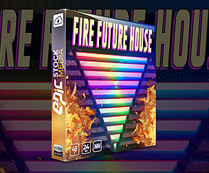 Fire Future House