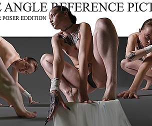WIDE ANGLE REFERENCE PICTURES 190+