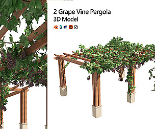 2 Grape Vine Pergola