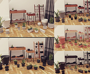 Plants Pots Collection Vol 03
