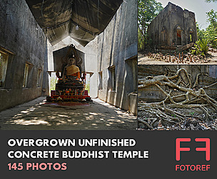 Overgrown Unfinished Concrete Buddhist Temple