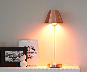 LED move stage stand