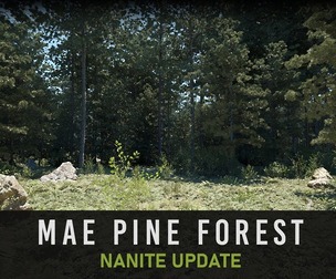 MAE Pine Forest
