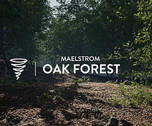 MAE Oak Forest