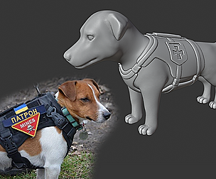 Jack Russell Patron Ukraine Dog Landmine Finder