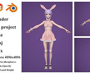 Bunny cosplay only outfit no character and shoe