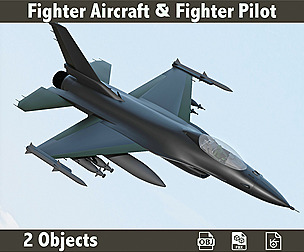 3D Fighter Aircraft & Fighter Pilot