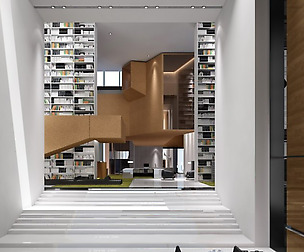 Library 006