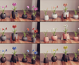 amaryllis  flower Collection Plants Vol 02