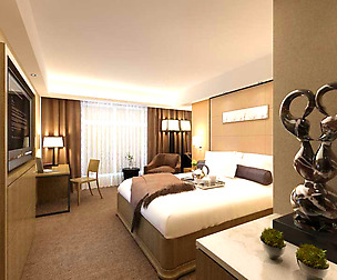 Guest Room 001