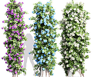 Climbing Roses Cylinder Columns