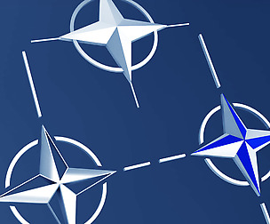 Nato logo symbol low poly pack