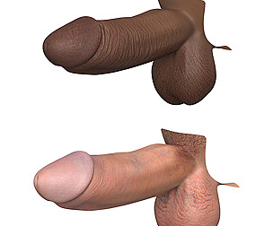 Photorealistic African And European Male Penis