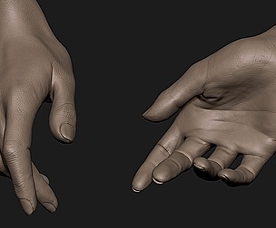Realistic female hand 2