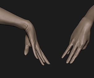Realistic female hand 3
