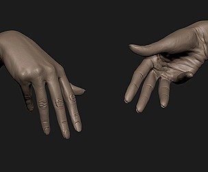 Realistic female hand 5