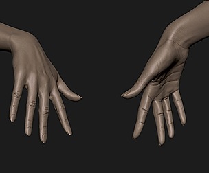 Realistic female hand 6