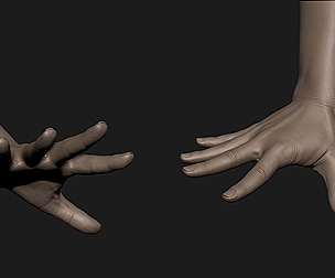 Realistic female hand 7