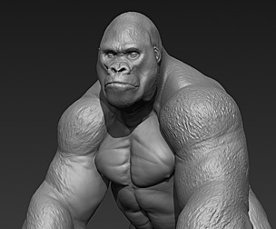 Gorilla