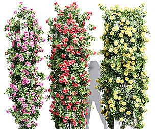 Climbing Roses Cube Columns