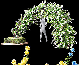 Climbing Roses Garden Bow Grow