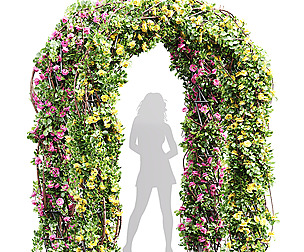 Climbing Roses Garden Bow02 Grow