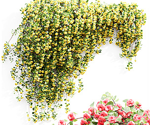 New Plant High detail Climbing Roses Wall Grow Top