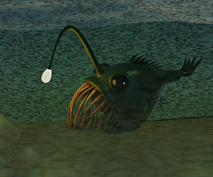 Angler fish