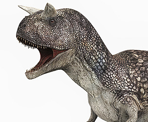 Carnotaurus Dinosaur