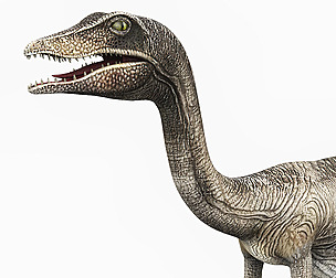 Compsognathus Dinosaur