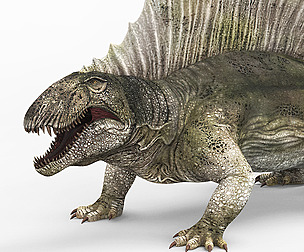 Dimetrodon Dinosaur